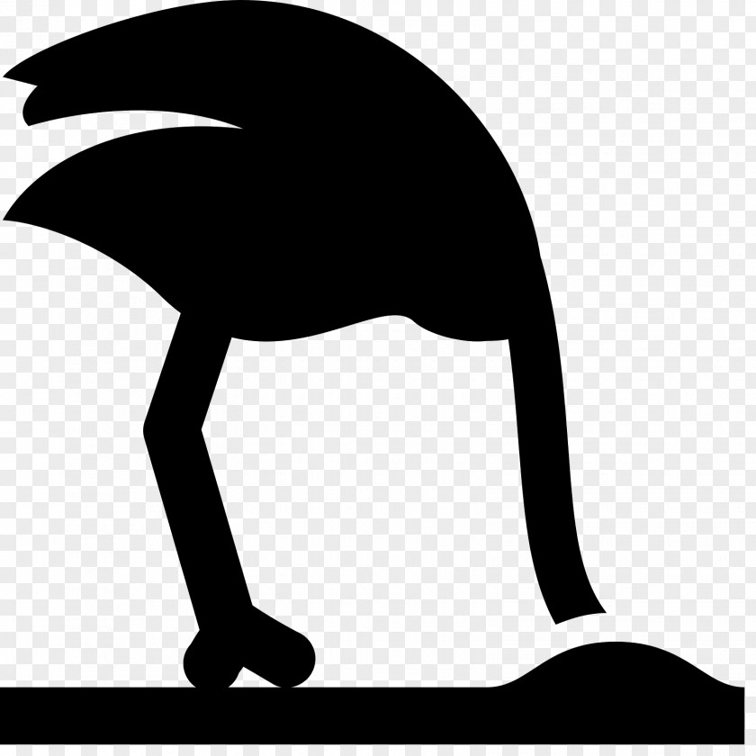 Bird Common Ostrich Clip Art PNG