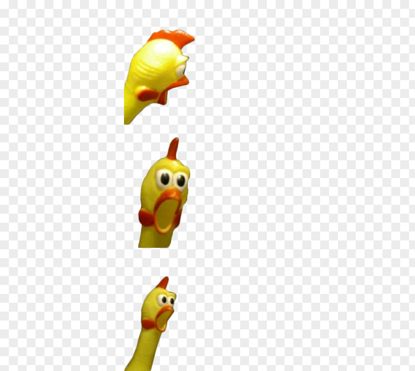 Chicken Internet Meme Drama PNG meme , stupid chicken clipart PNG