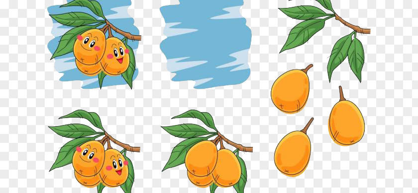 Cute Apricot Auglis Pear Illustration PNG