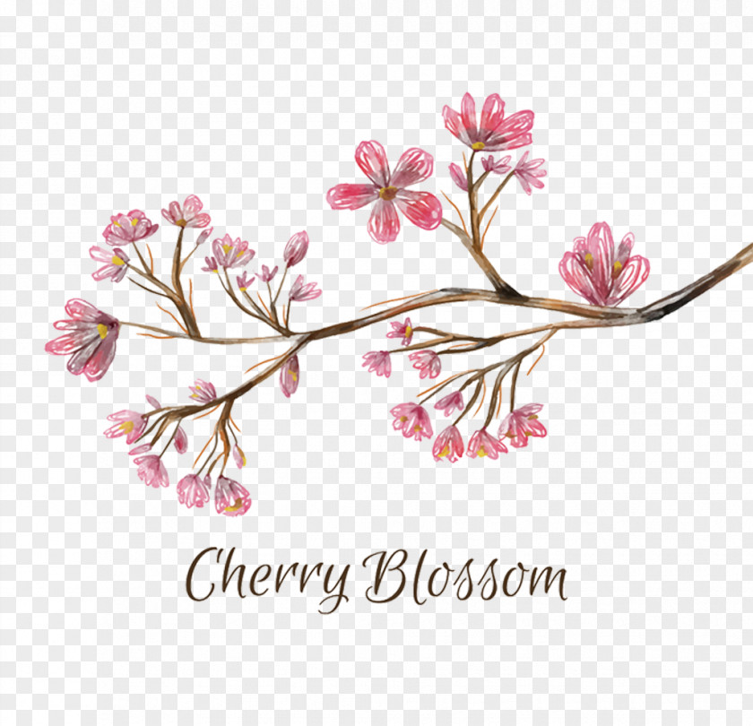 Ink And White Cherry Blossoms National Blossom Festival PNG