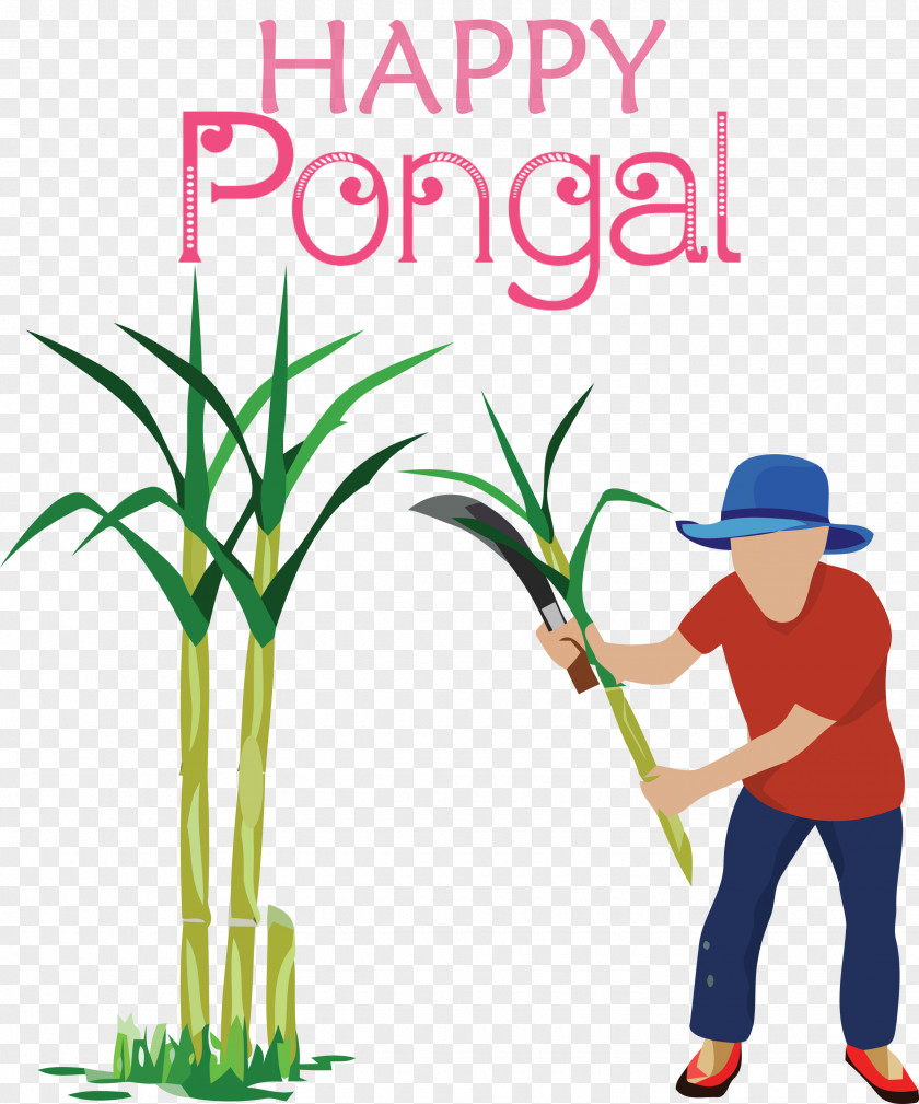 Pongal Happy PNG