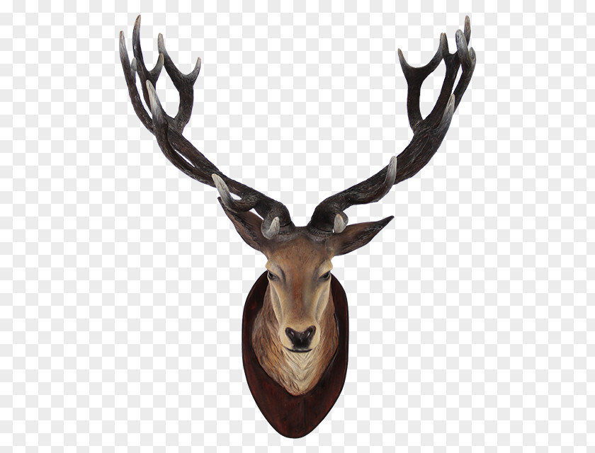 Deer Head Transparent Sika PNG