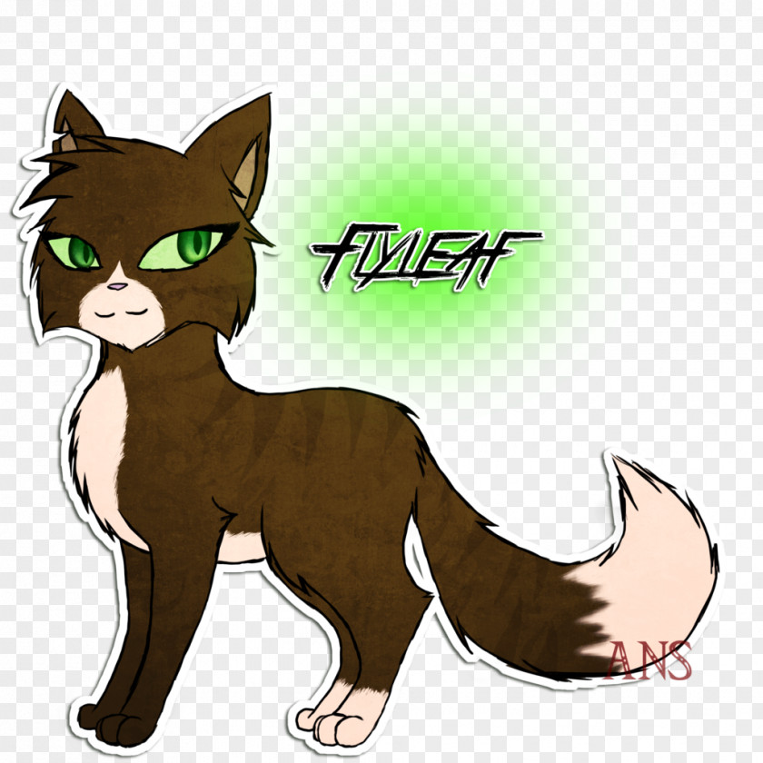 Kitten Whiskers Cat Canidae Character PNG