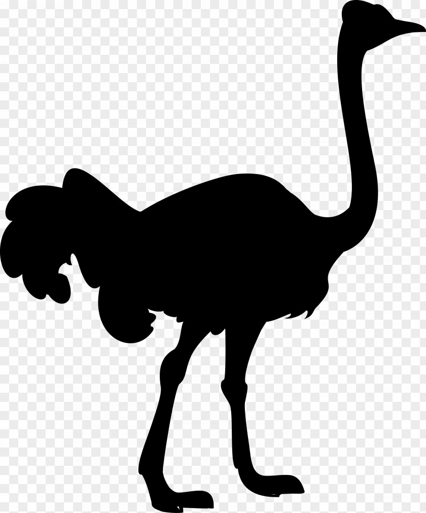 Llama Clip Art Vector Graphics Silhouette Royalty-free PNG