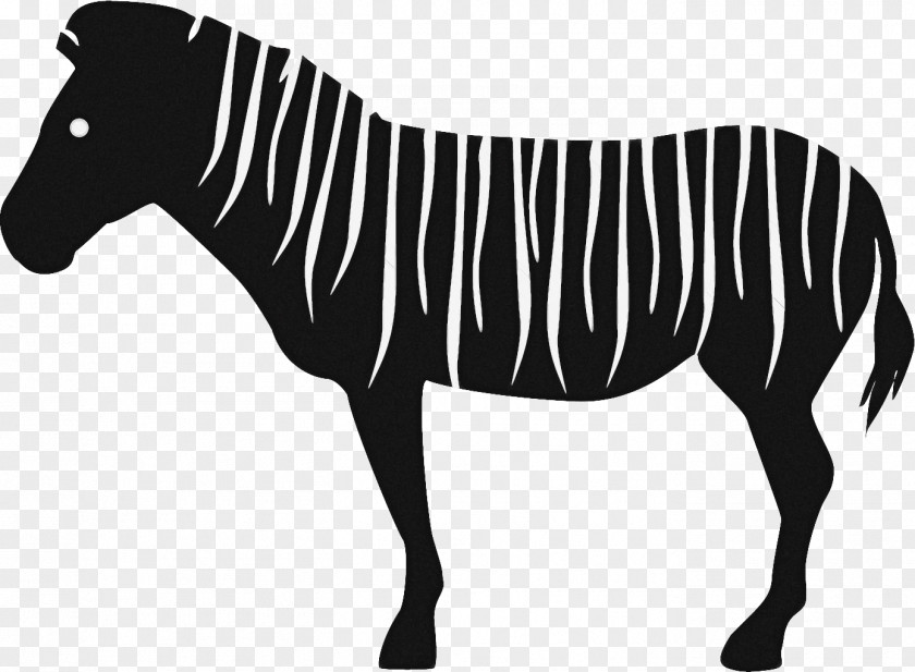 Mare Blackandwhite Zebra Cartoon PNG