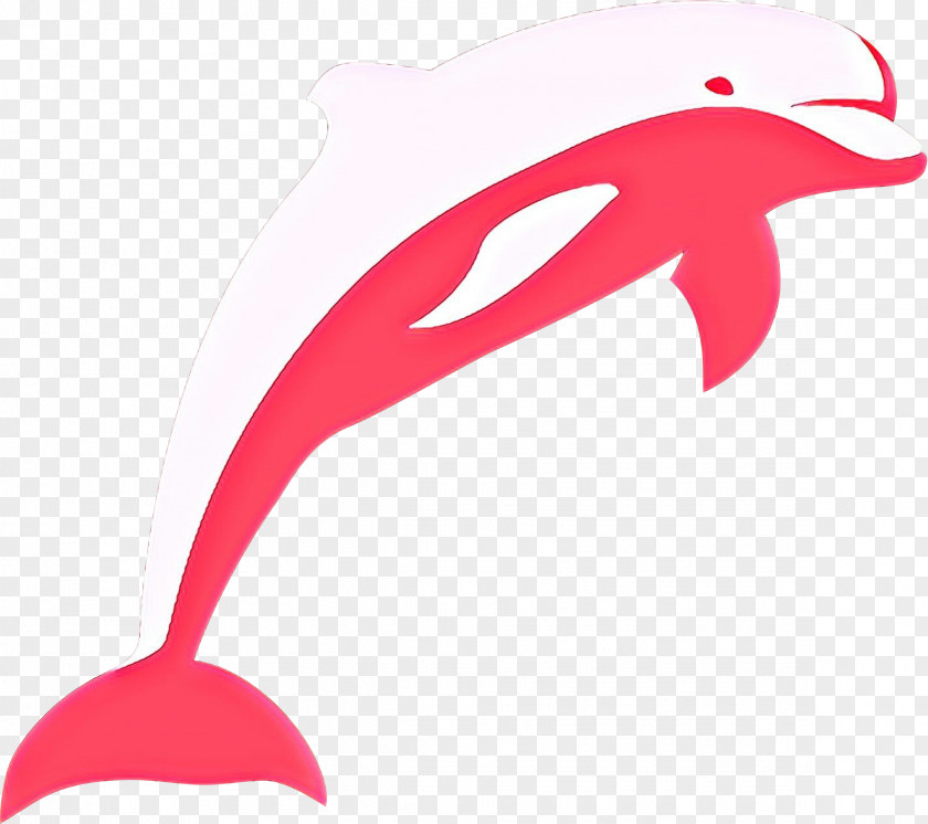 Oceanic Dolphin Clip Art Vector Graphics Porpoise PNG