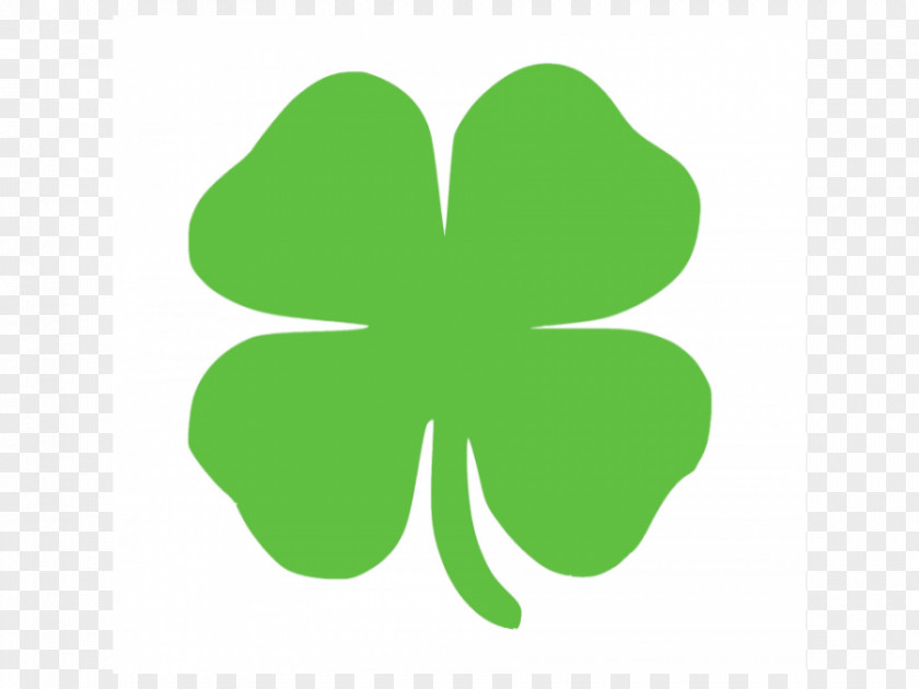 Saint Patrick's Day St. Cathedral Shamrock Ireland Four-leaf Clover PNG