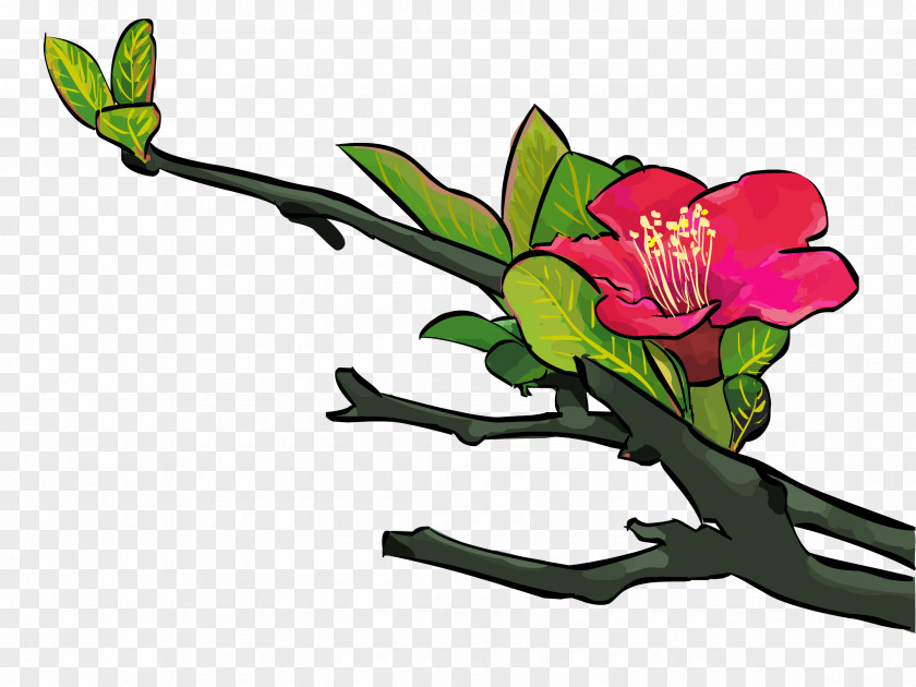 Azalea Business Floral Design Rhododendron Flower Petal Stamen PNG