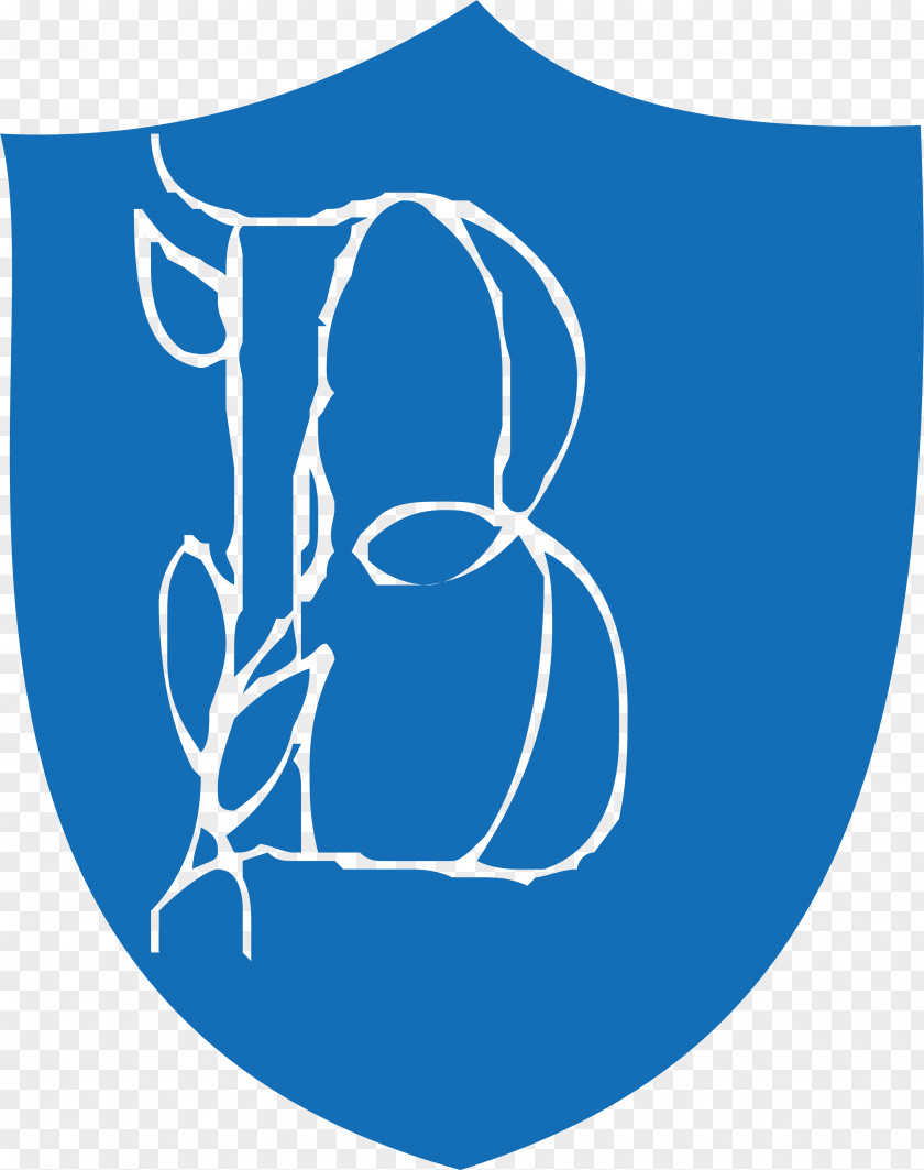 Blue Shield Computer File PNG