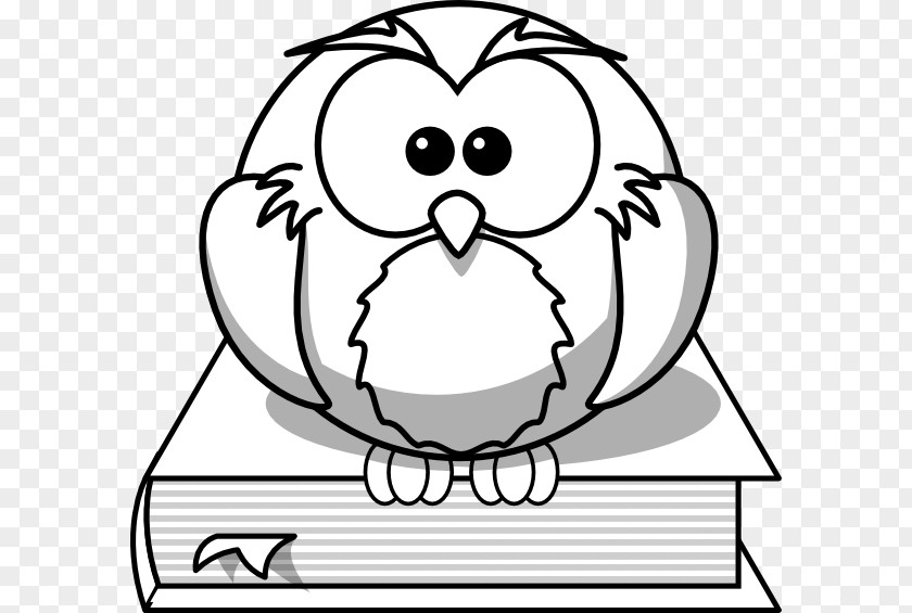 Book Black Frame Owl Bird Drawing Cartoon Clip Art PNG
