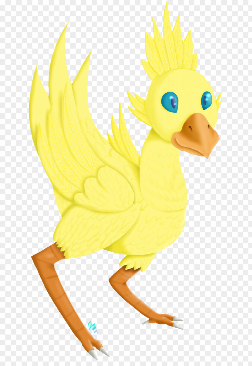 Duck Chicken Beak Goose Cygnini PNG