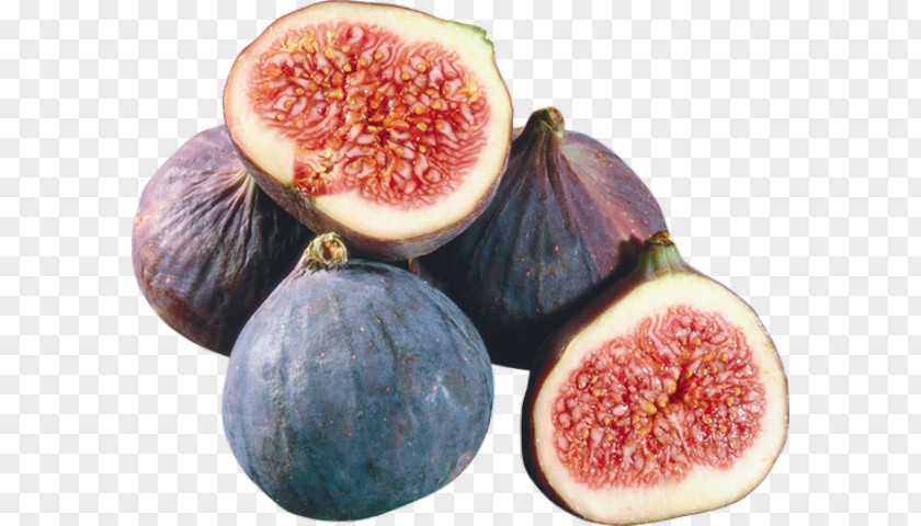 Fig Fruit Common Letter Word PNG