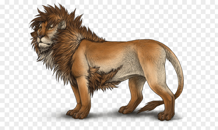 Lion Cat Felidae Roar Wildlife PNG