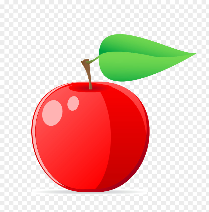 Red Apple Teacher Education Icon PNG