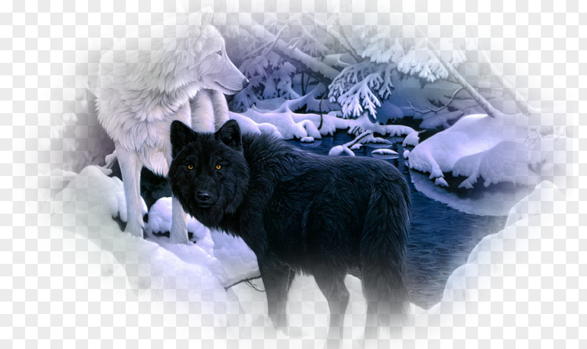 Siberian Husky Arctic Wolf Black Desktop Wallpaper Pack PNG