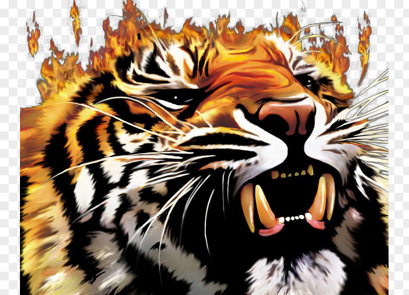 Burning Tiger Fire Cat Lion Wallpaper PNG