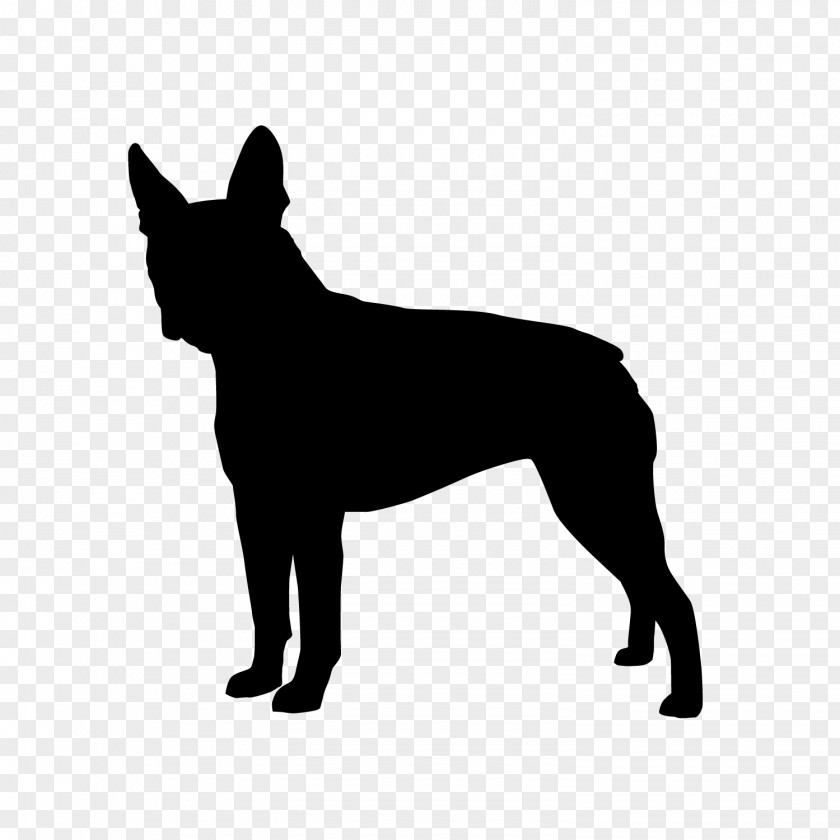 French Bulldog Dog Breed German Shepherd Puppy Vector Graphics PNG