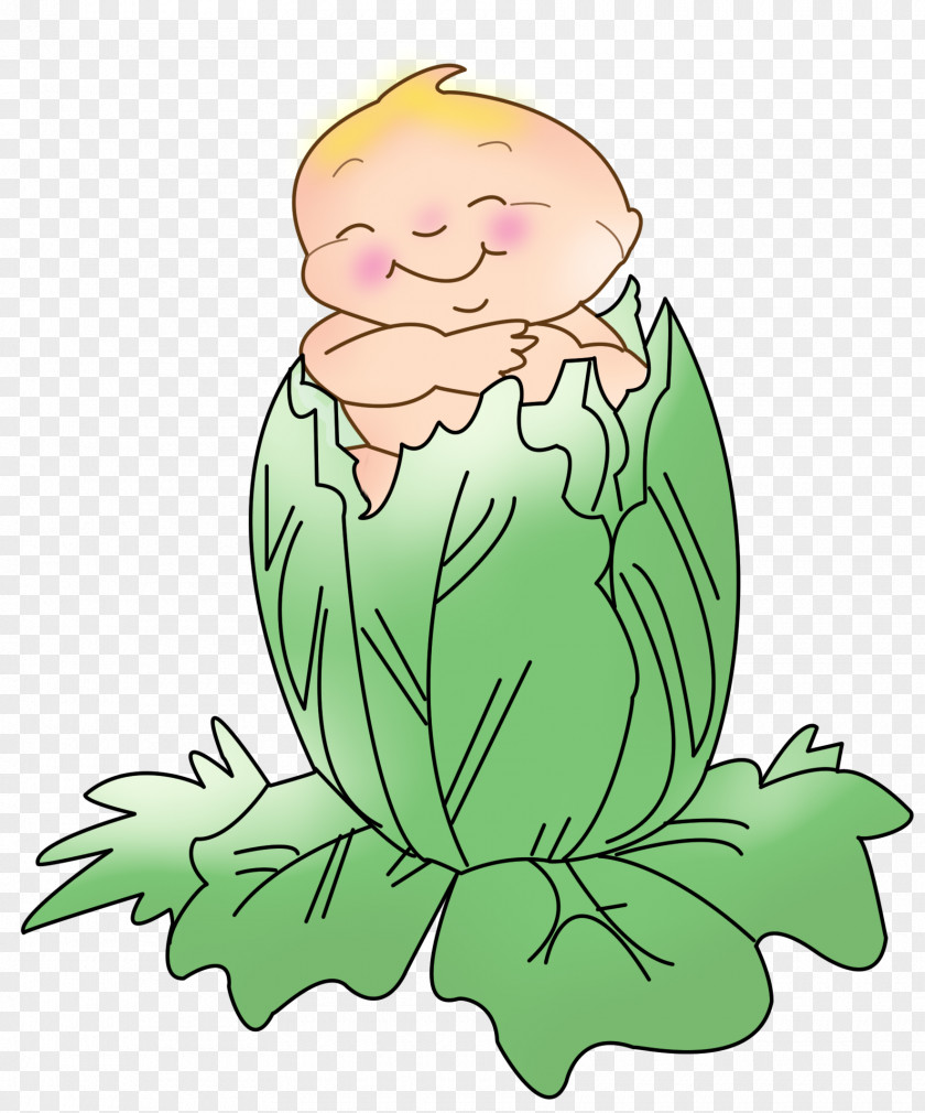 Physical Cabbage Amphibian Leaf Character Clip Art PNG