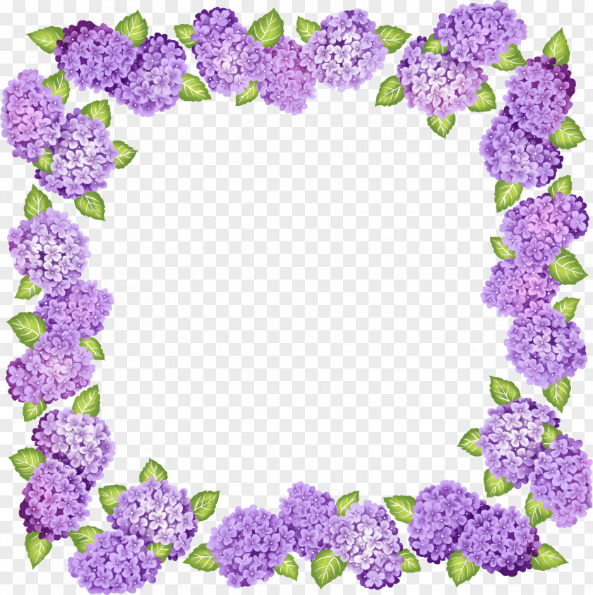 Purple Flowers Borders And Frames Picture Clip Art PNG
