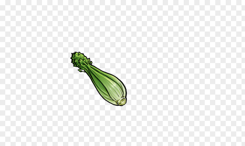 Sketch Cabbage Celery Vegetable ICO Icon PNG