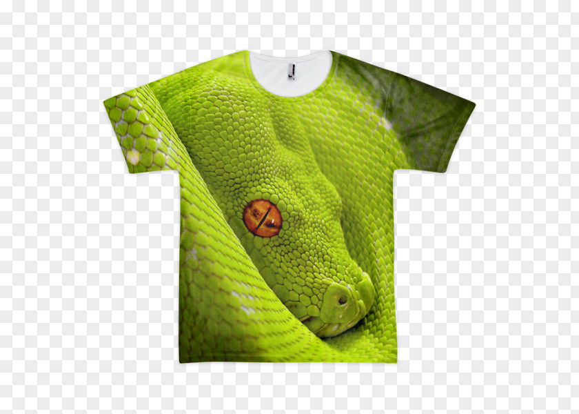 Snake Corn Reptile Green Tree Python Smooth PNG