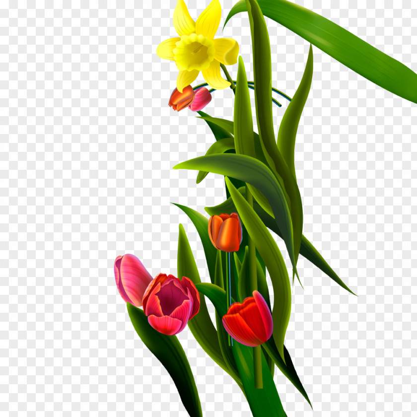 A Bouquet Of Flowers Flower Tulip Floral Design PNG