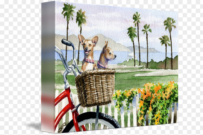 Bicycle Baskets Gallery Wrap Canvas Chihuahua PNG