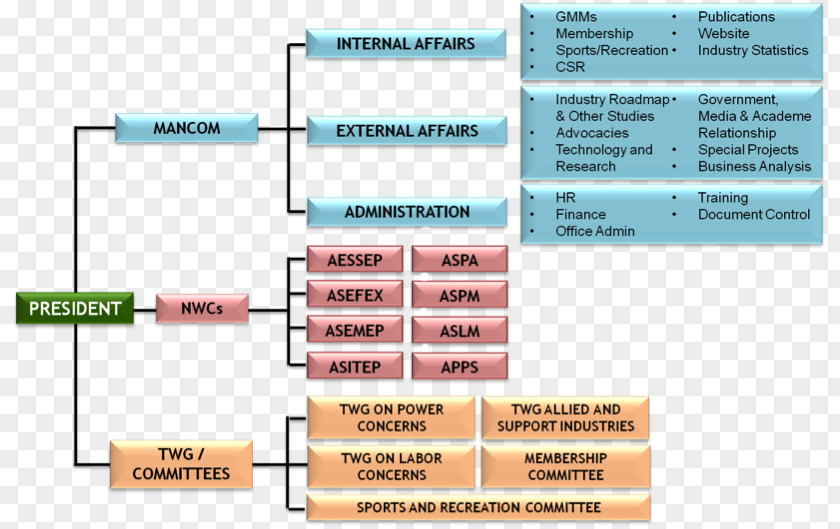 Business Organizational Chart Management President PNG