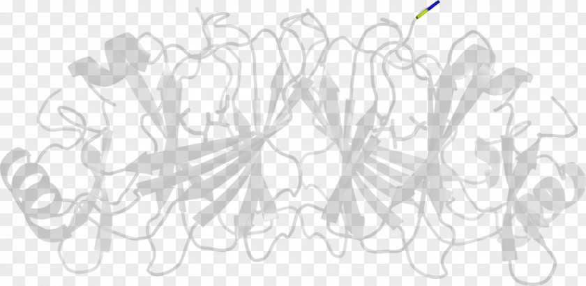 Design Line Art Drawing White PNG