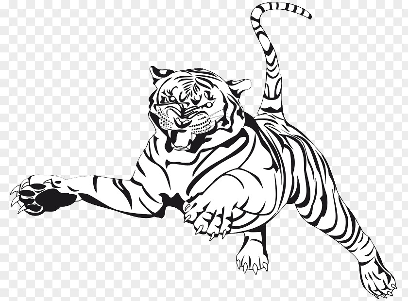 Draw A Tiger Coloring Book Auburn University Drawing Illustration Tigers PNG