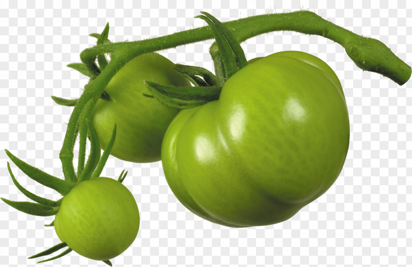 Green Tomato Juice Cherry Fried Tomatoes Italian Pie Tomatillo PNG