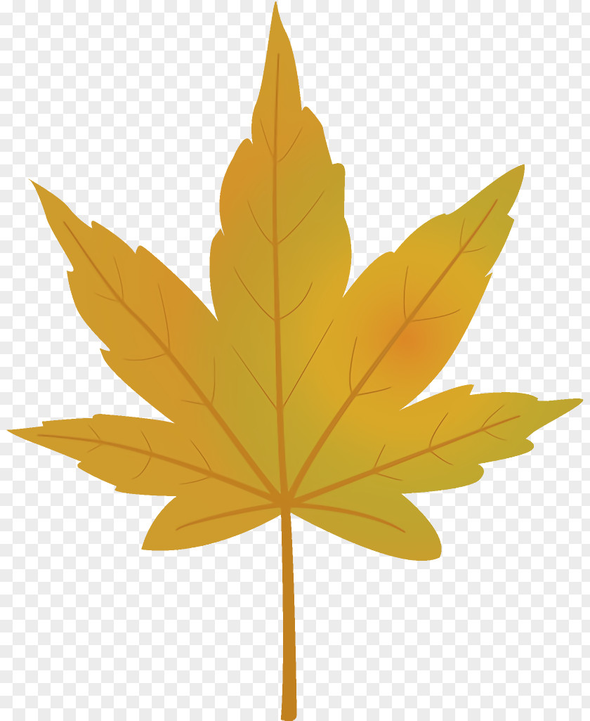 Maple Plane Leaf Autumn Yellow PNG