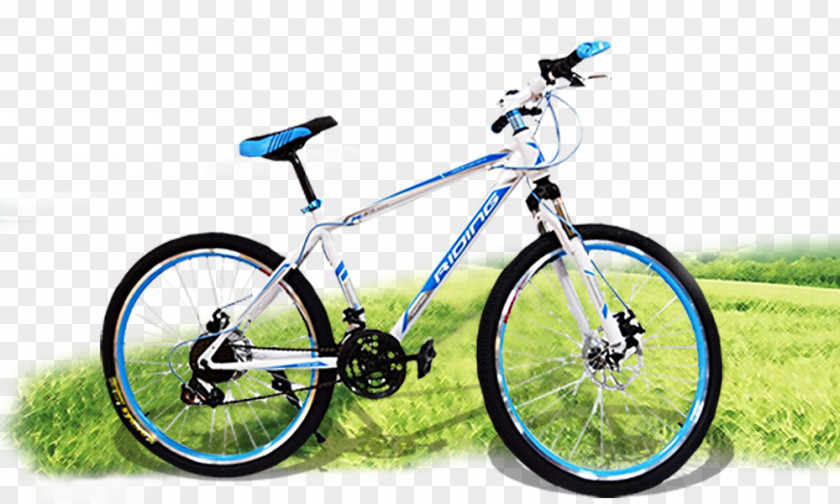 Mountain Biking Hybrid Bicycle Bike Specialized Components PNG