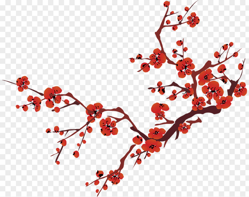 Plum Flower China Lunar New Year Chinese PNG