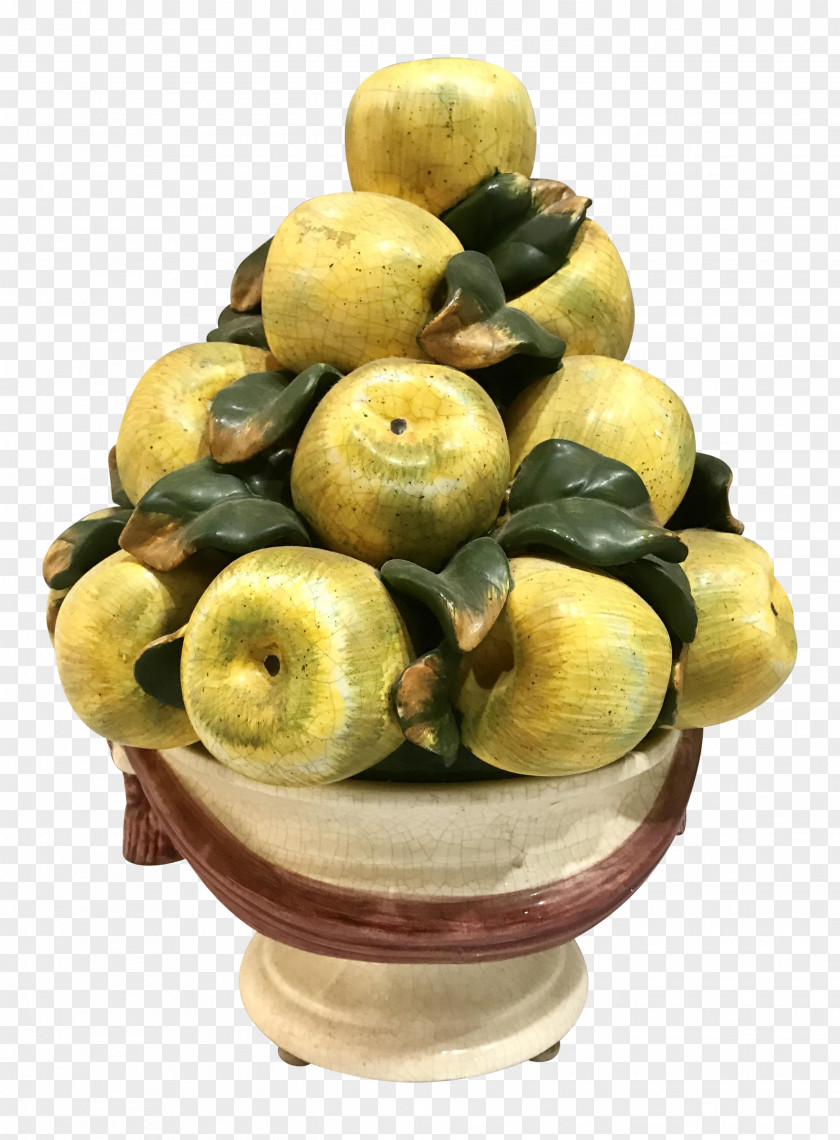 Quince Plant Vegetable Cartoon PNG