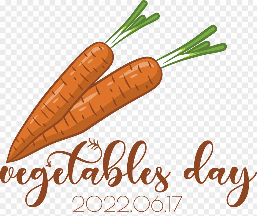 Vegetable Superfood Font Carrot PNG