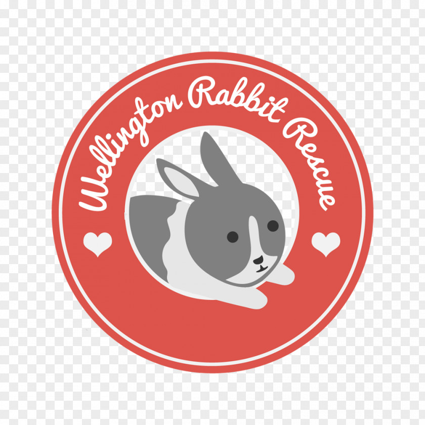 Welfare Lionhead Rabbit Pet All About Rabbits Animal PNG