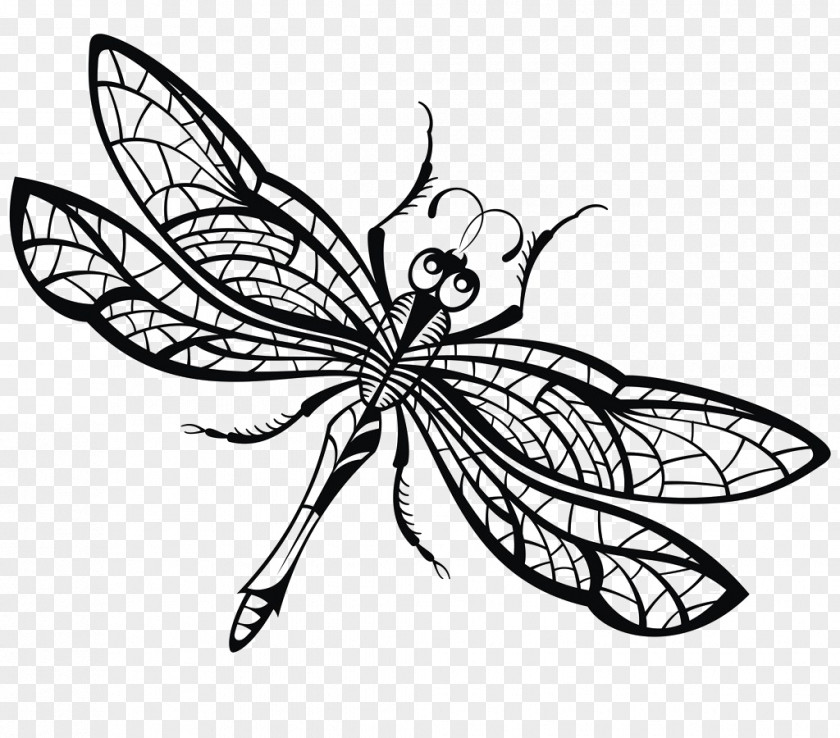 Dragonfly Creative Drawing Royalty-free Illustration PNG