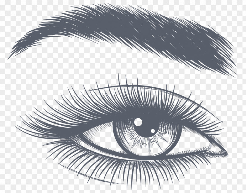 Eye Drawing Vector Graphics Sketch Illustration PNG
