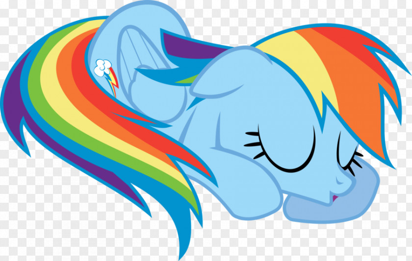 My Little Pony Rainbow Dash Rarity Derpy Hooves Twilight Sparkle PNG