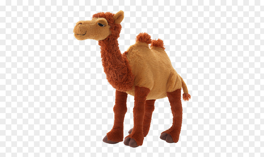 Plush Camel Bactrian Dromedary Amazon.com Stuffed Toy IKEA PNG