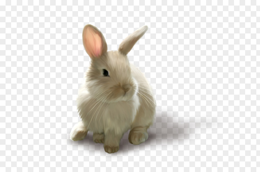 Rabbit Background Easter Clip Art PNG