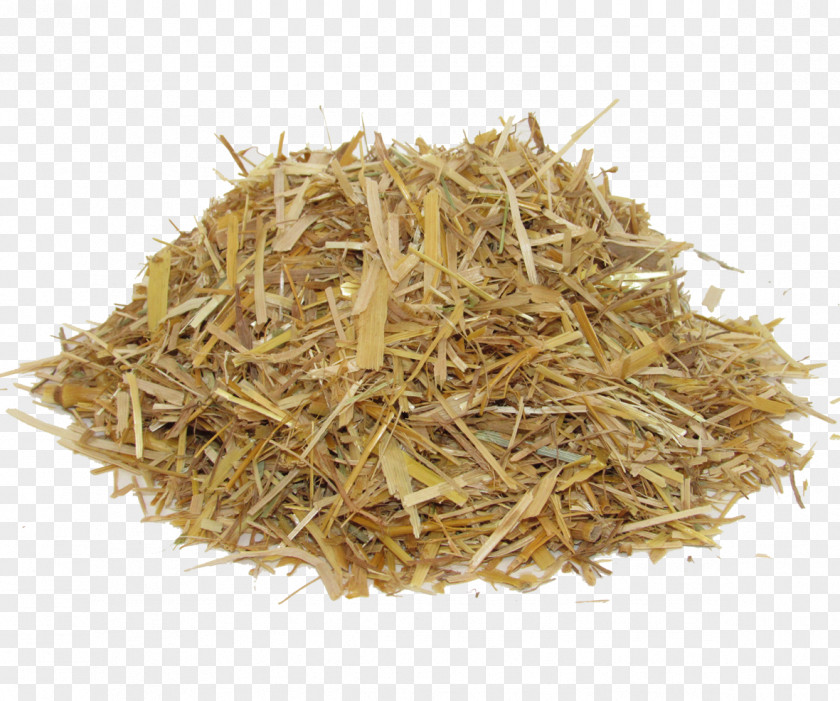 Straw Oat Hay Paper PNG