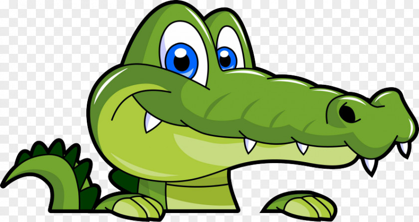 Alligator Cartoon Alligators Clip Art PNG