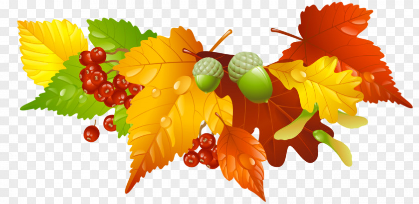 Autumn Royalty-free Vector Graphics Stock Photography Borders And Frames Image PNG