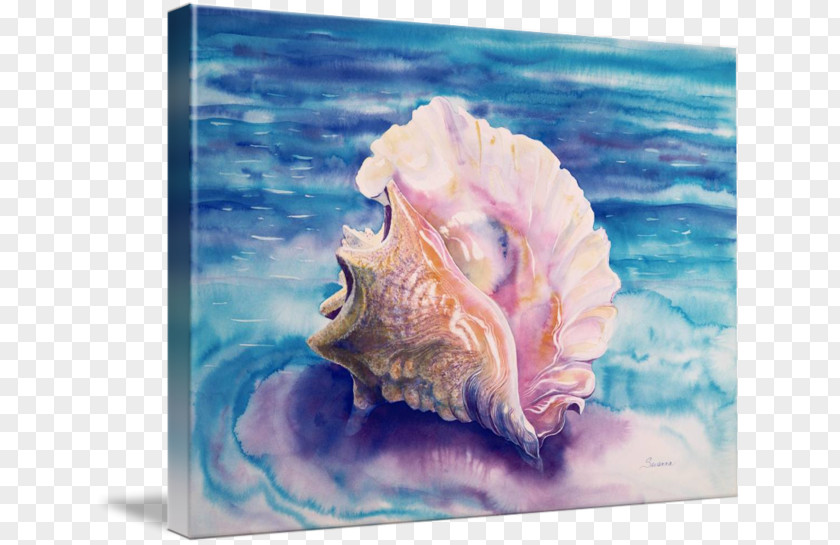 Conch Seashell Watercolor Painting Thepix PNG