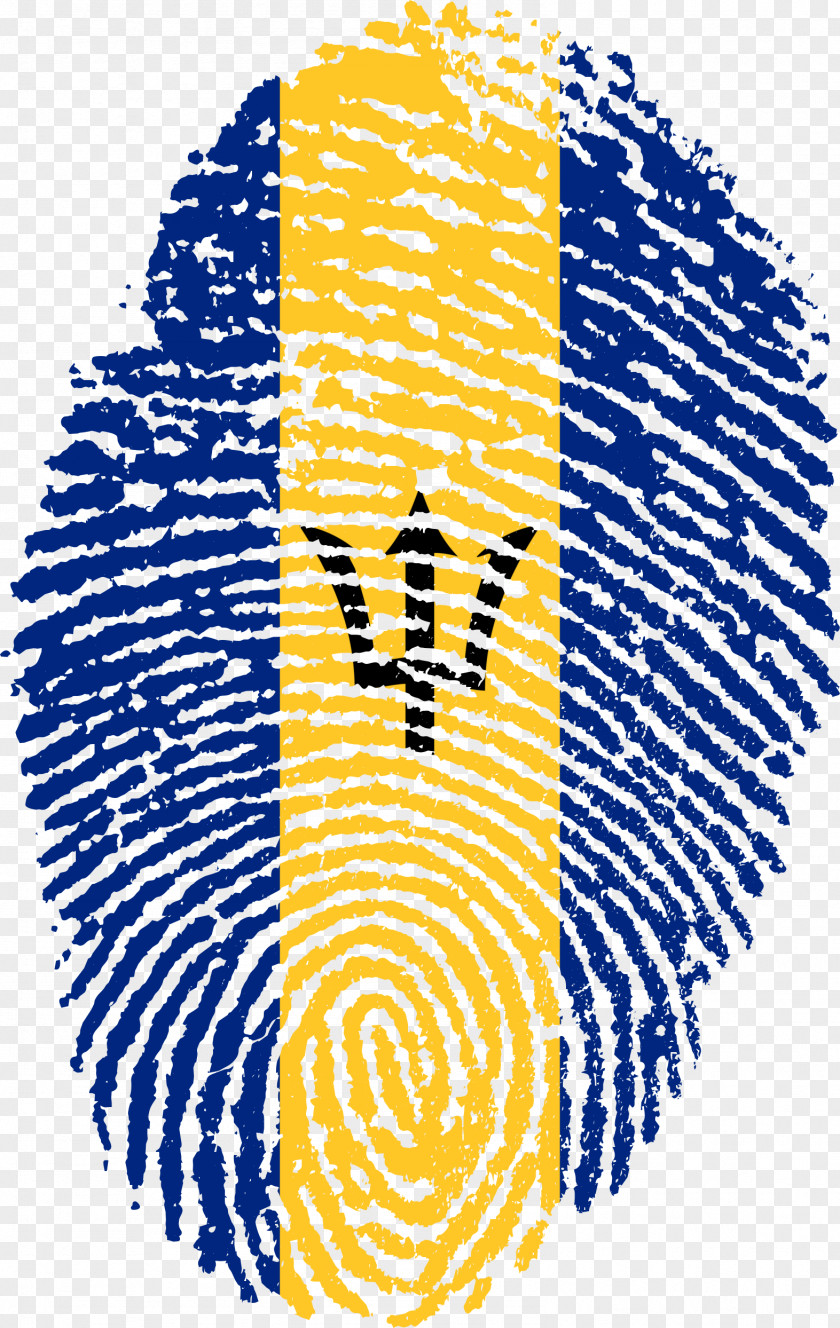 Finger Print Flag Of Brazil Fingerprint PNG