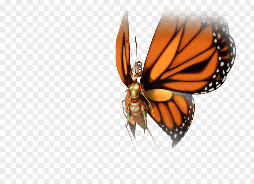 Heroes Of Newerth Monarch Butterfly Pieridae Moth Brush-footed Butterflies PNG