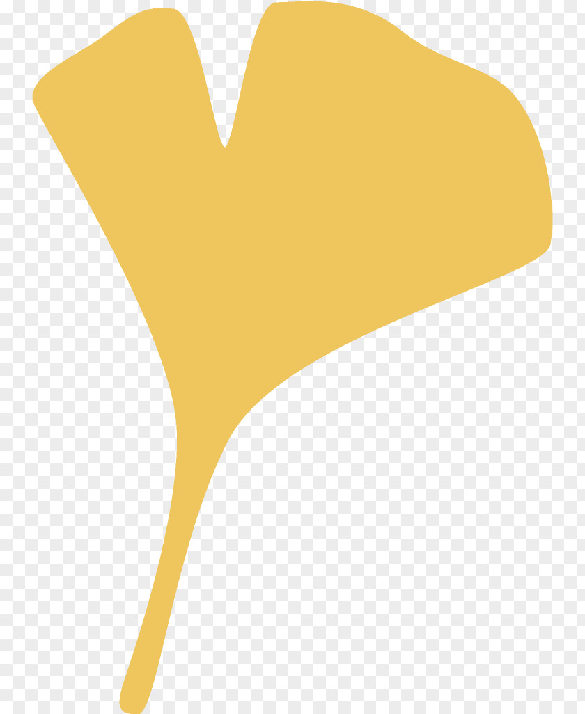 Logo Hand Ginkgo Leaf Gingko Maidenhair PNG