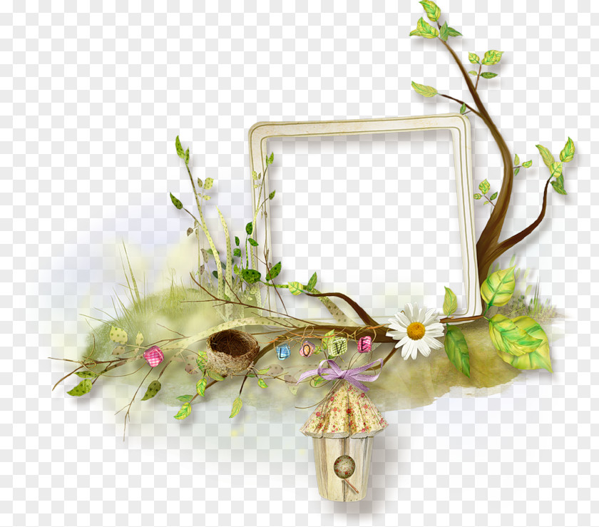 Picture Frames Photography Clip Art PNG